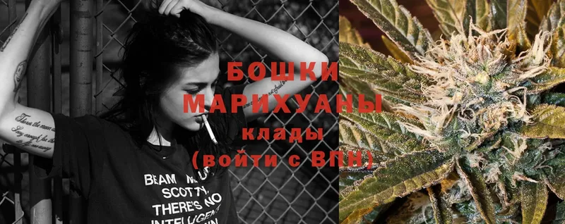 Бошки Шишки SATIVA & INDICA  купить закладку  Калачинск 